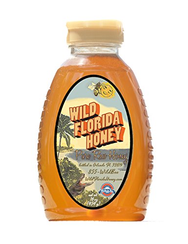 Wild Florida Honey 16oz 100 Pure Natural Raw Honey Flowersnhoney