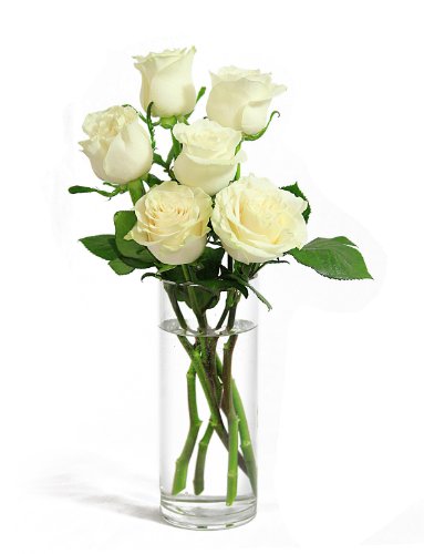 Bouquet Of Long Stemmed White Roses Half Dozen With Vase Flowersnhoney Fresh Flowers And 6625