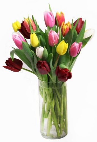 Rainbow Tulip Bouquet 20 Stems With Vase Flowersnhoney Fresh Flowers And The Best Honey 4806