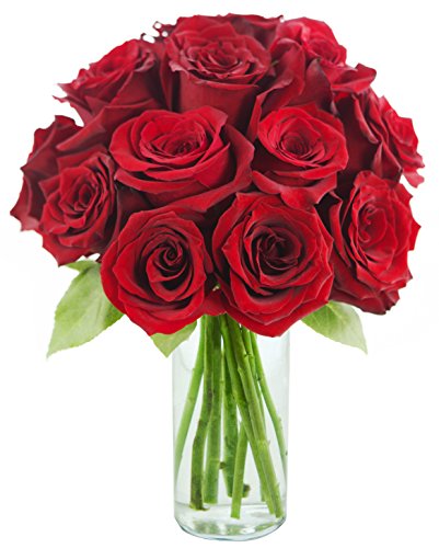 Red Rose Of Passion Bouquet One Dozen Long Stemmed With Vase Flowersnhoney Fresh Flowers 7662