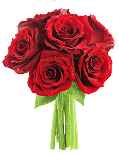 Bouquet Of Long Stemmed Red Roses Half Dozen Without Vase