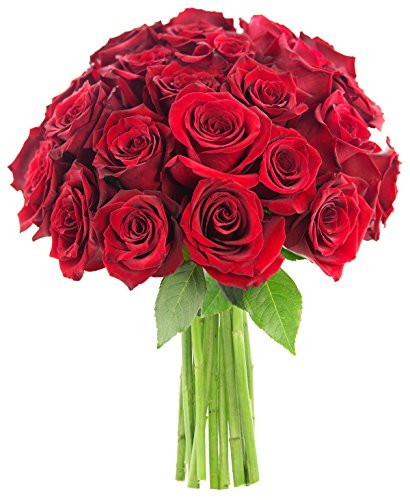 Bouquet Of Long Stemmed Red Roses Two Dozen The Kabloom