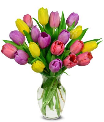 Flowers - Spring Tulip Bouquet - 20 Stems (FREE Vase Included ...