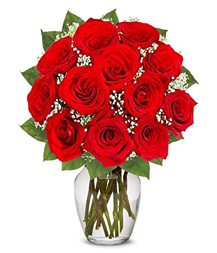 Flowers - One Dozen Long Stemmed Red Roses (FREE Vase Included ...