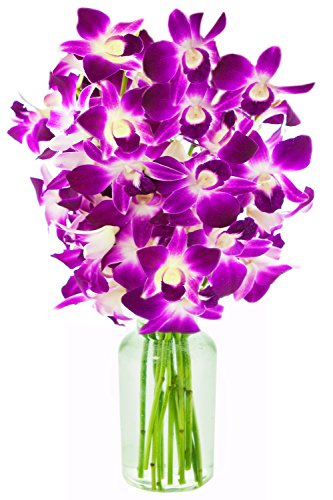 Ultimate Purple Dendrobium Orchid Bouquet (10 stems) - With Vase ...