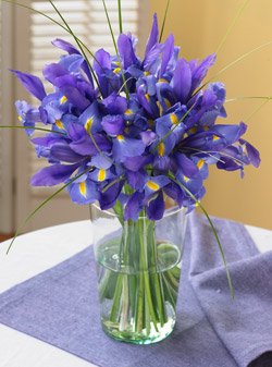 Blue Iris Bouquet | flowersnhoney | fresh flowers and the best honey