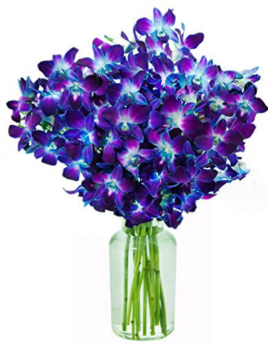 Blue Orchid Fresh Flower Bouquet (20 Stems) - With Vase | flowersnhoney ...