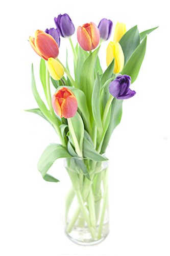 Rainbow Tulip Bouquet (10 Stems) - With Vase | flowersnhoney | fresh ...
