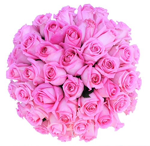 50 Mother's Day Farm Fresh Pink Roses Bouquet By JustFreshRoses | Long ...